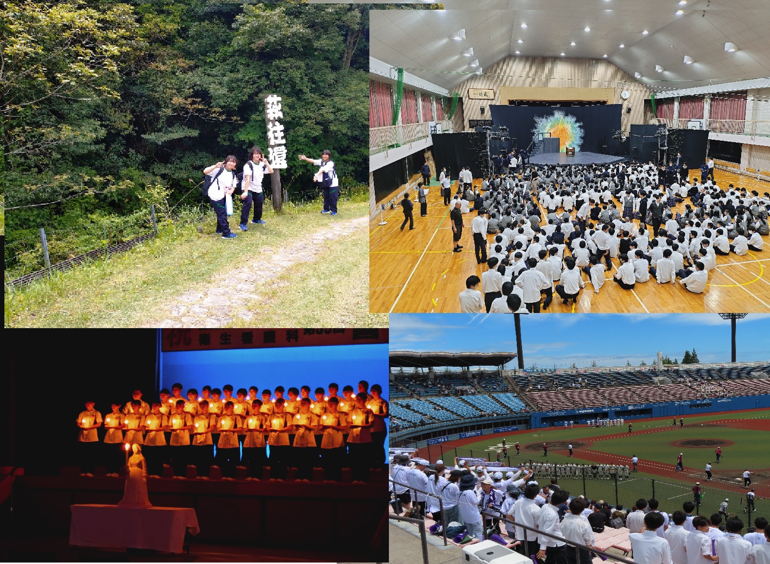 スライドショー